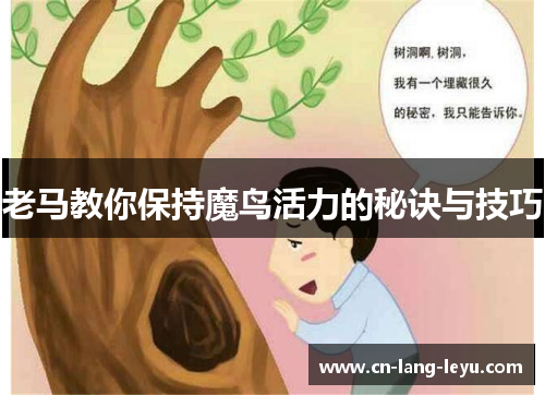 老马教你保持魔鸟活力的秘诀与技巧