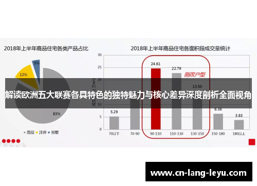 解读欧洲五大联赛各具特色的独特魅力与核心差异深度剖析全面视角 解读欧洲五大联赛各具特色的独特魅力与核心差异深度剖析全面视角