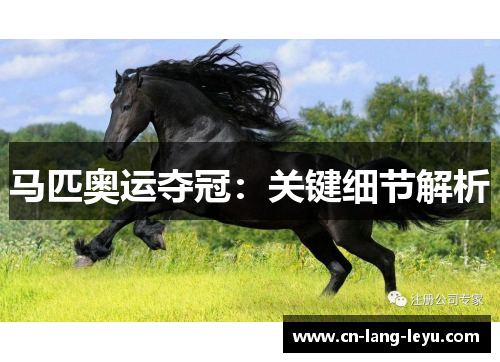 马匹奥运夺冠：关键细节解析