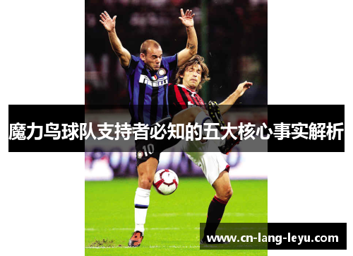魔力鸟球队支持者必知的五大核心事实解析